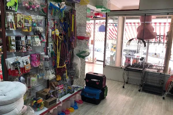 Pati'ş Petshop - Resim 5