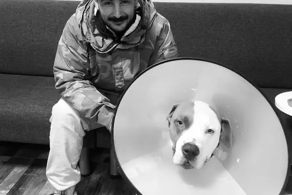 Yalıkavak Halikarnas Veteriner Kliniği - Resim 8