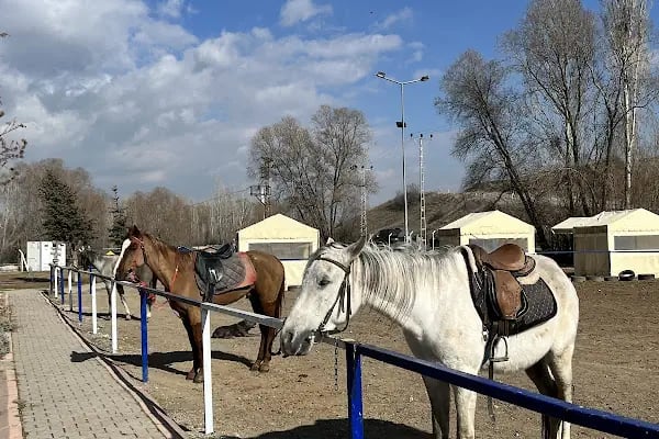 LİNA ATLI SPOR BİNİCİLİK KULÜBÜ - Resim 5