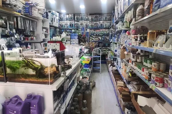 İzmir Akvaryum - Resim 3