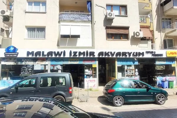 İzmir Akvaryum - Resim 2