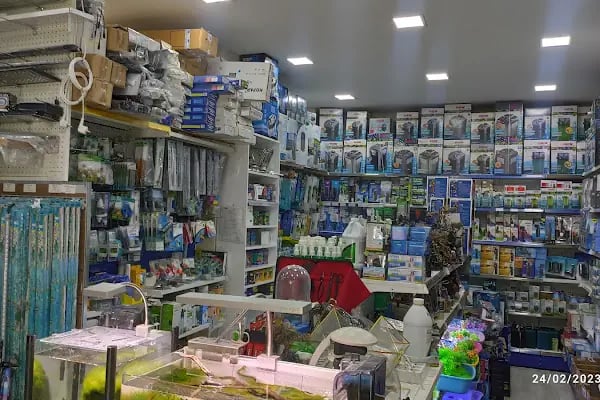 İzmir Akvaryum - Resim 5
