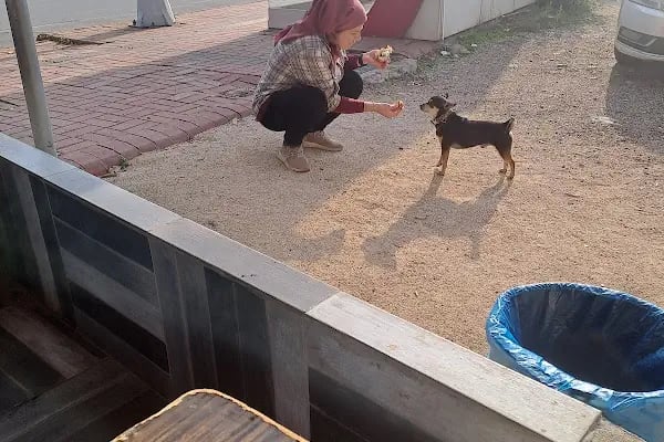 Dana Köfte Piyaz Salonu - Resim 2