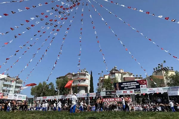 Finike 100. Yıl Stadyumu - Resim 4