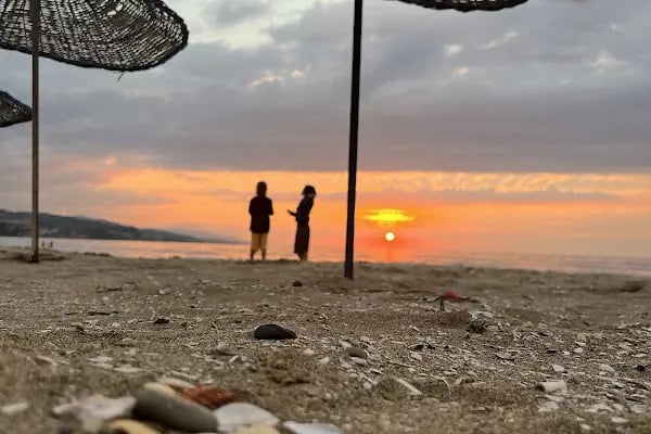 Sürücü beach - Resim 14