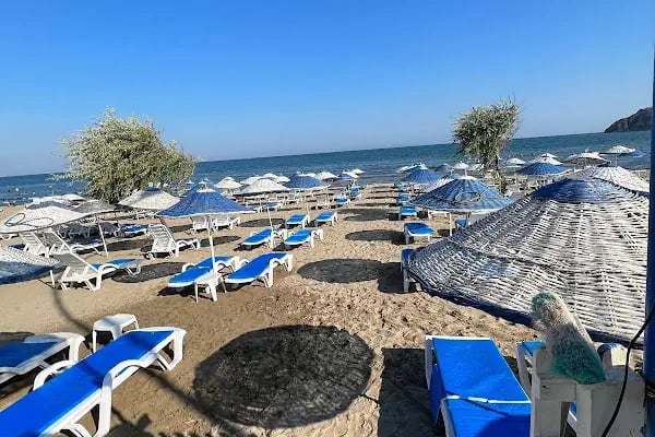 Sürücü beach - Resim 17