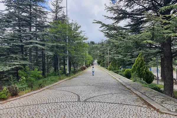 Kurtboğazı Barajı Mesire Alanı - Resim 17