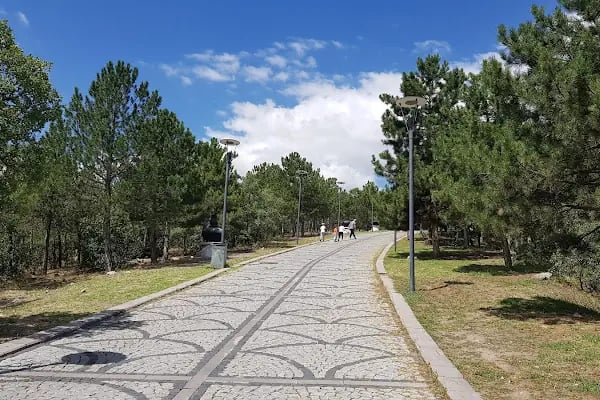 Kurtboğazı Barajı Mesire Alanı - Resim 16