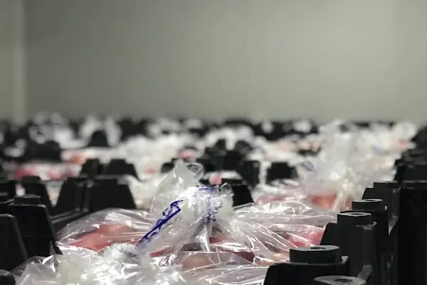 YILDIZ BAL TARIM GIDA MEYVE PAKETLEME VE SOĞUK HAVA TESİSLERİ Yıldız Anamur - Resim 20