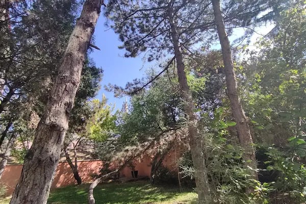 Şehit Resul Ekrem Gökdoğan Anadolu lisesi - Resim 6