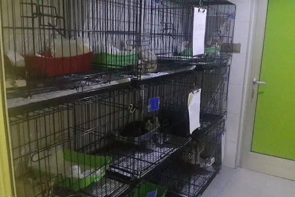 MVK Veteriner Kliniği - Resim 7