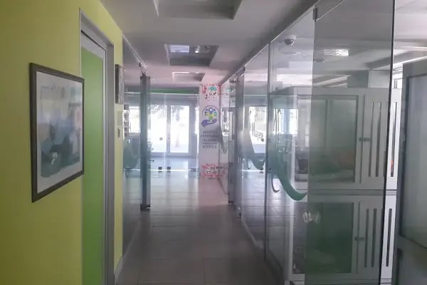 MVK Veteriner Kliniği - Resim 4