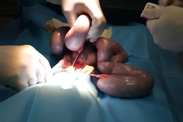 MVK Veteriner Kliniği - Resim 19