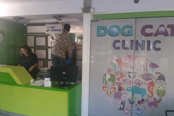 MVK Veteriner Kliniği - Resim 12