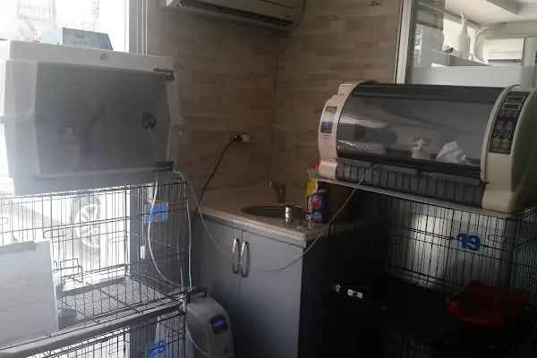 MVK Veteriner Kliniği - Resim 10