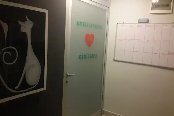 MVK Veteriner Kliniği - Resim 16