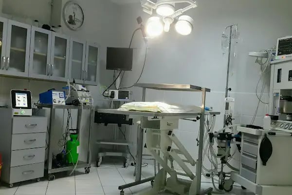 MVK Veteriner Kliniği - Resim 2