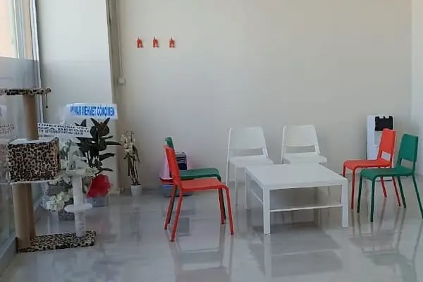 Vetberry Veteriner Kliniği - Resim 4
