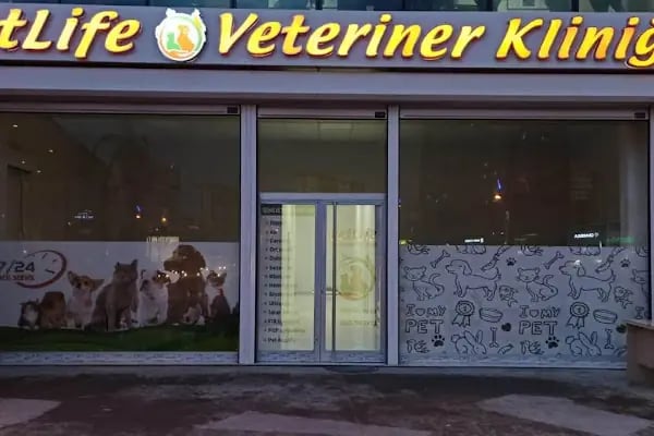 Vetberry Veteriner Kliniği - Resim 19