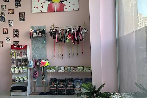 Vetberry Veteriner Kliniği - Resim 5