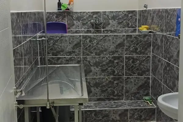 Vetberry Veteriner Kliniği - Resim 18