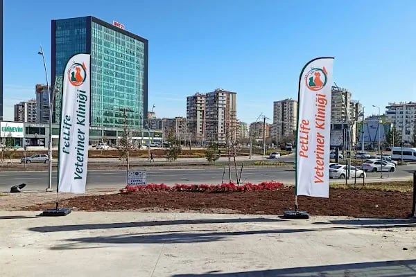 Vetberry Veteriner Kliniği - Resim 7