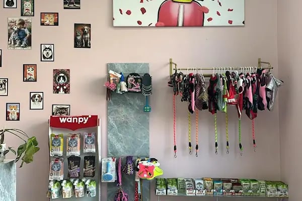 Vetberry Veteriner Kliniği - Resim 1
