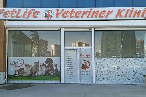 Vetberry Veteriner Kliniği - Resim 15
