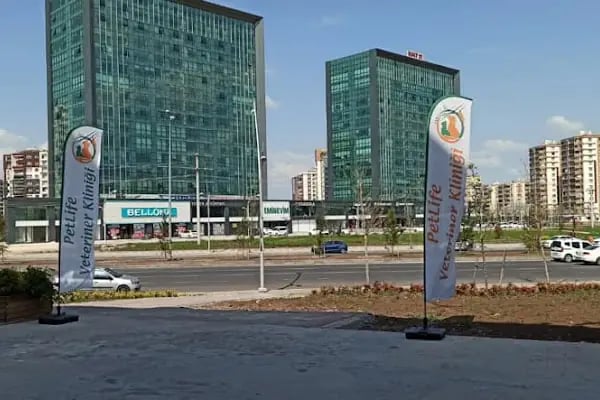 Vetberry Veteriner Kliniği - Resim 12