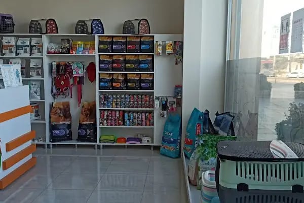 Vetberry Veteriner Kliniği - Resim 17