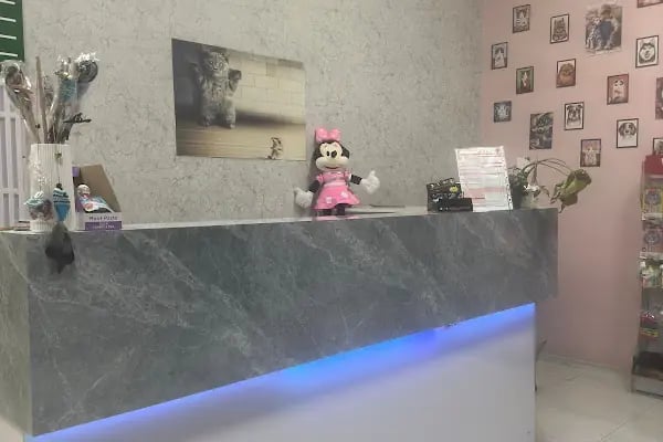 Vetberry Veteriner Kliniği - Resim 14