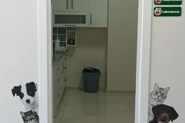 Vetberry Veteriner Kliniği - Resim 2