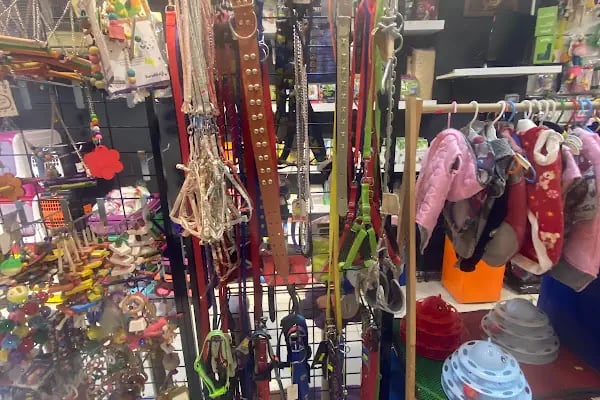 Partner Petshop Profesyonel Kamp Malzemeleri - Resim 11