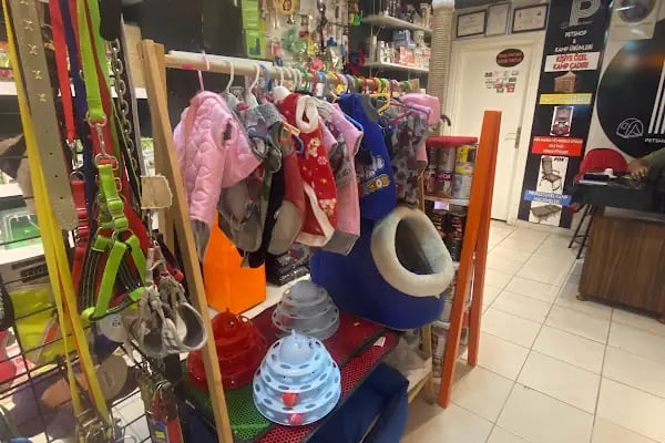 Partner Petshop Profesyonel Kamp Malzemeleri - Resim 8