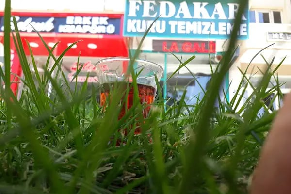 FEDAKAR KURUTEMİZLEME - Resim 15