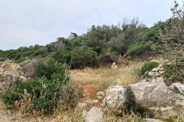 Antik Kilise - Resim 12