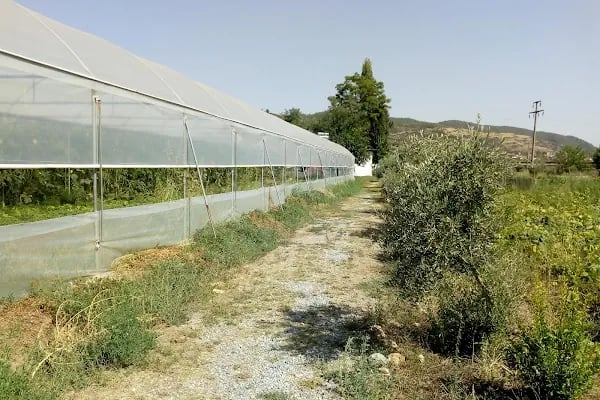 Muğla Açık Ceza İnfaz Kurumu Müdürlüğü - Resim 4