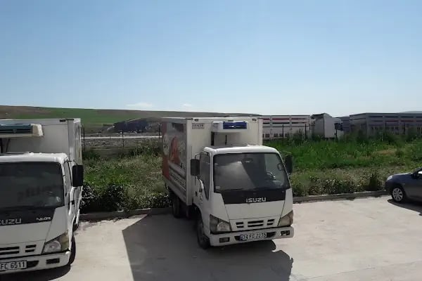 Bakpiliç Yem - Resim 4