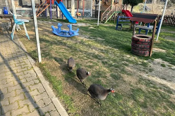 Kaynaklar Serpme Kahvaltı - Resim 13