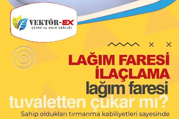 Vektorex İlaçlama - Resim 4