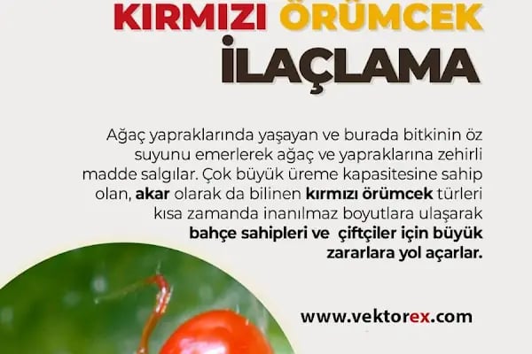 Vektorex İlaçlama - Resim 17