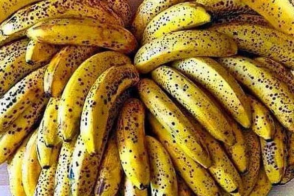 Ay Temel Tarım Muz Çilek Paketleme Tesisi - Resim 5