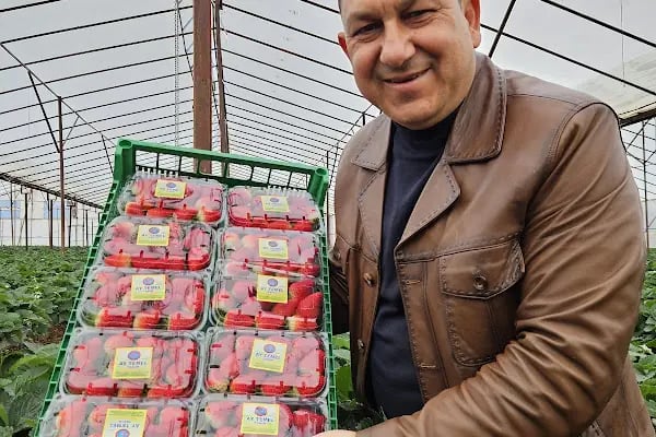 Ay Temel Tarım Muz Çilek Paketleme Tesisi - Resim 19