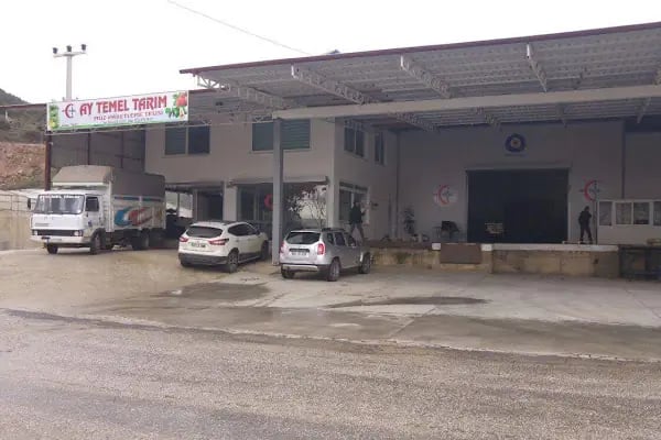 Ay Temel Tarım Muz Çilek Paketleme Tesisi - Resim 2