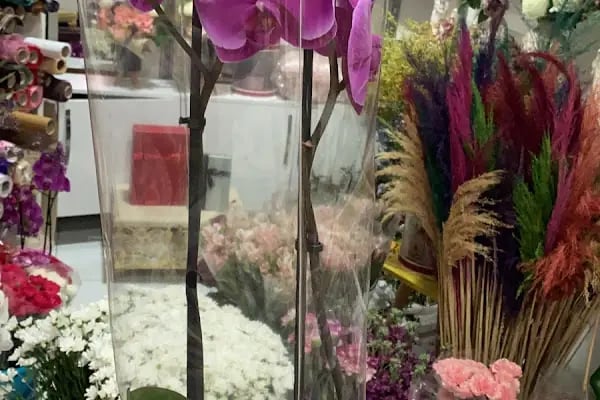 Nur Flowers Akyazı - Resim 6