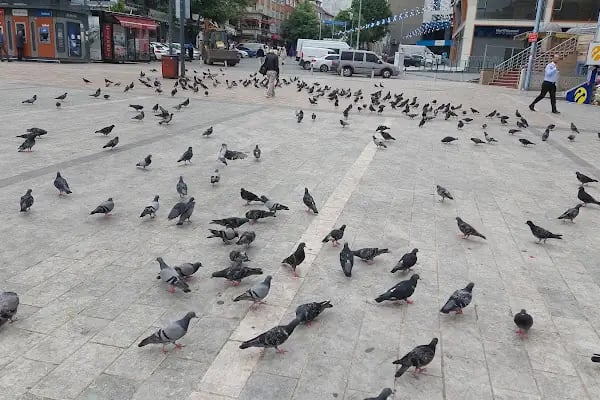 Bağcılar Meydanı - Resim 9