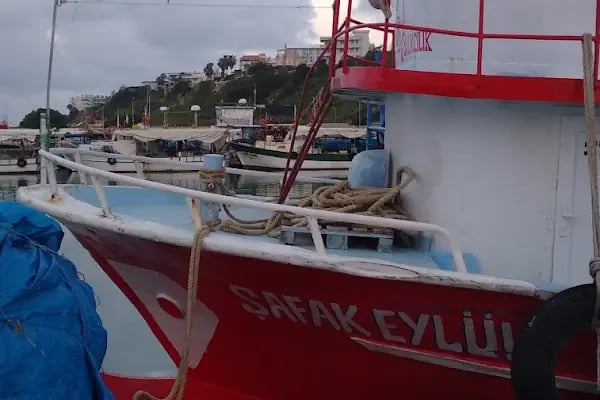 Karataş Limanı - Resim 12