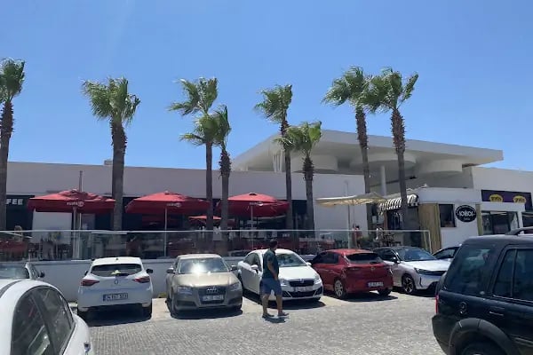 Kosmos Vize Hizmetleri Bodrum - Resim 4