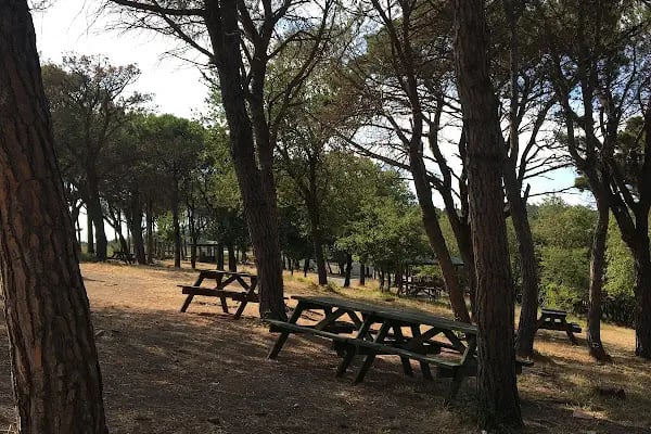 tayakadın mesire alanı 2 - Resim 11