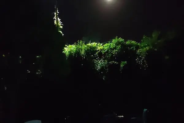 Gökkuşağı hamam havuz Spor Kompleksi - Resim 11